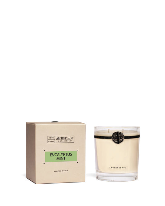 EUCALYPTUS MINT 10 OZ BOXED CANDLE