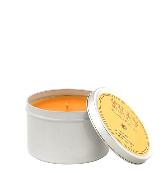 LANAI TRAVEL TIN